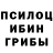 Псилоцибиновые грибы прущие грибы Hy Tran